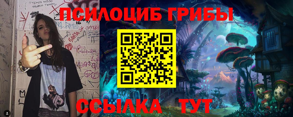 Североуральск  сколько стоит  Вход с VPN  Псилоцибиновые грибы мицелий 